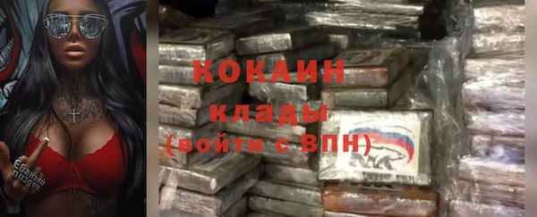 мдпв Верхний Тагил