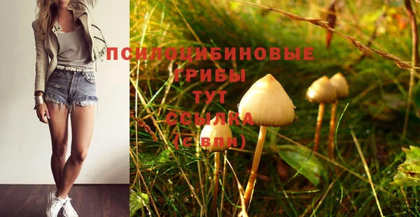 мдпв Верхний Тагил