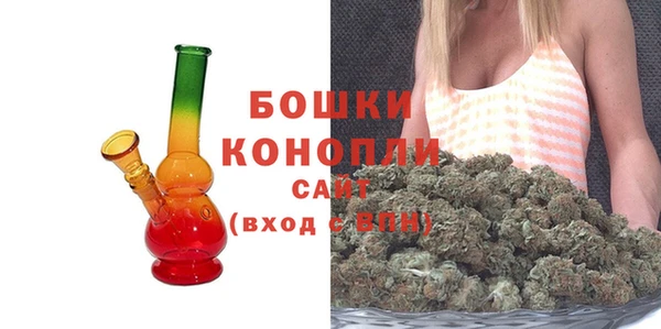 мдпв Верхний Тагил