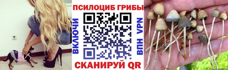 Псилоцибиновые грибы MAGIC MUSHROOMS  Купить где  Нижняя Салда 